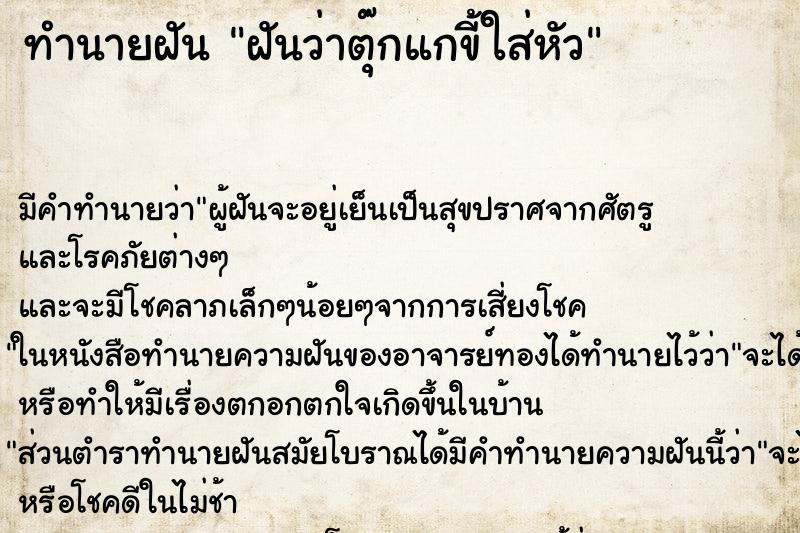 ทำนายฝัน ฝันว่าตุ๊กแกขี้ใส่หัว ทำนายฝัน ฝันว่าตุ๊กแกขี้ใส่หัว