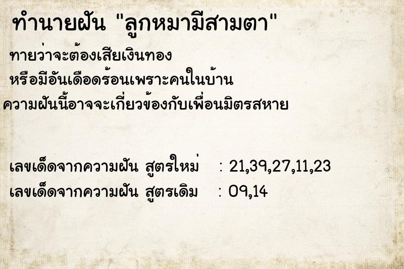 ทำนายฝันลูกหมามีสามตา ทำนายฝันทำนายฝันลูกหมามีสามตา