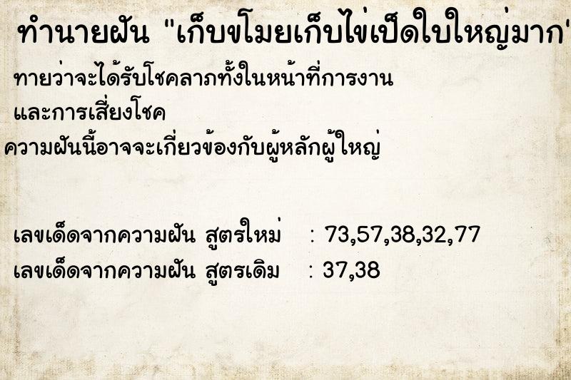 ทำนายฝันทำนายฝันเก็บขโมยเก็บไข่เป็ดใบใหญ่มาก
