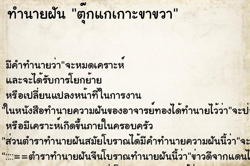 ทำนายฝัน ตุ๊กแกเกาะขาขวา