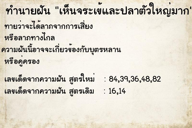 ทำนายฝันเห็นจระเข้และปลาตัวใหญ่มาก ทำนายฝันทำนายฝันเห็นจระเข้และปลาตัวใหญ่มาก