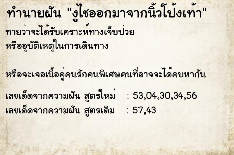 ทำนายฝันงูไชออกมาจากนิ้วโป้งเท้า ทำนายฝันทำนายฝันงูไชออกมาจากนิ้วโป้งเท้า