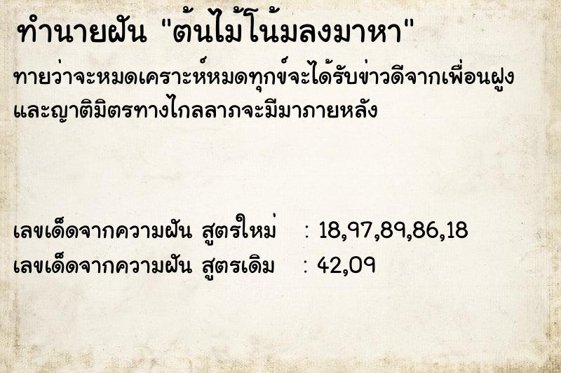 ทำนายฝันต้นไม้โน้มลงมาหา ทำนายฝันทำนายฝันต้นไม้โน้มลงมาหา