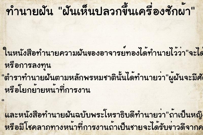 ทำนายฝันฝันเห็นปลวกขึ้นเครื่องซักผ้า ทำนายฝันทำนายฝันฝันเห็นปลวกขึ้นเครื่องซักผ้า