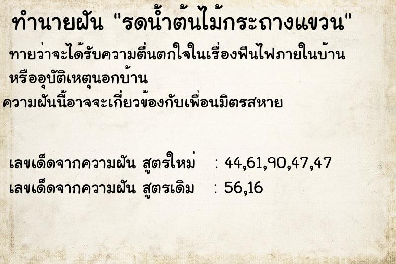ทำนายฝันทำนายฝันรดน้ำต้นไม้กระถางแขวน