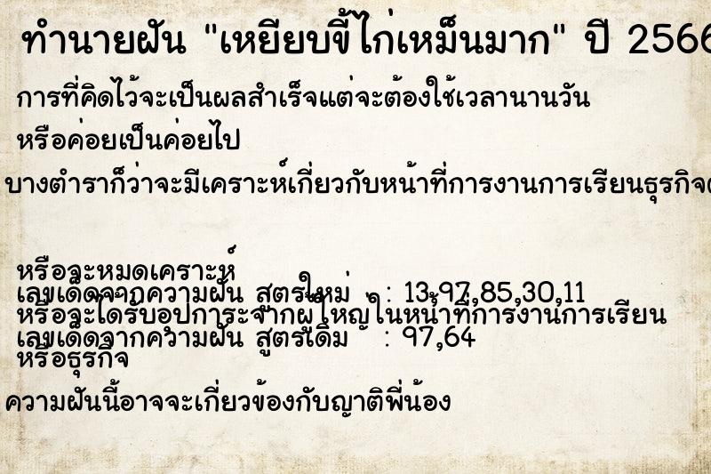 ทำนายฝัน เหยียบขี้ไก่เหม็นมาก ทำนายฝัน เหยียบขี้ไก่เหม็นมาก