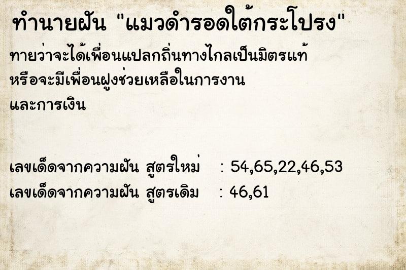 ทำนายฝันทำนายฝันแมวดำรอดใต้กระโปรง