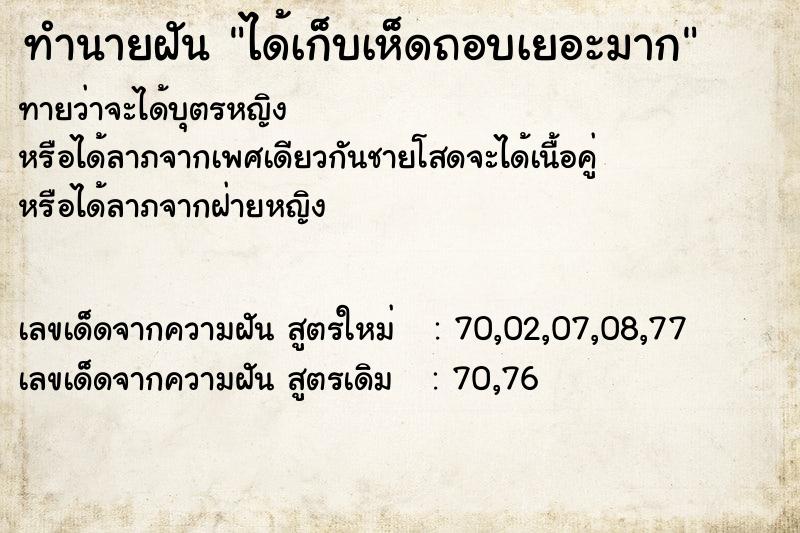 ทำนายฝันได้เก็บเห็ดถอบเยอะมาก ทำนายฝันทำนายฝันได้เก็บเห็ดถอบเยอะมาก