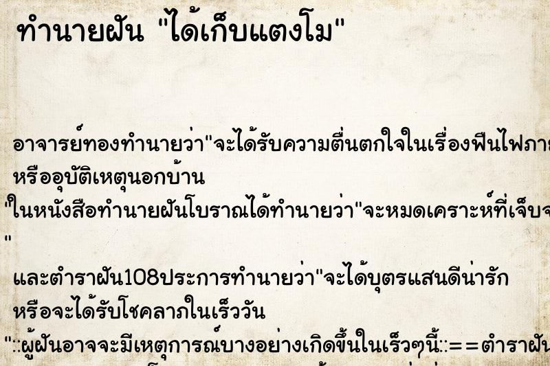ทำนายฝัน ได้เก็บแตงโม