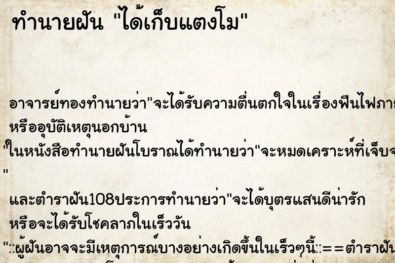 ทำนายฝัน ได้เก็บแตงโม ตำราโบราณ แม่นที่สุดในโลก