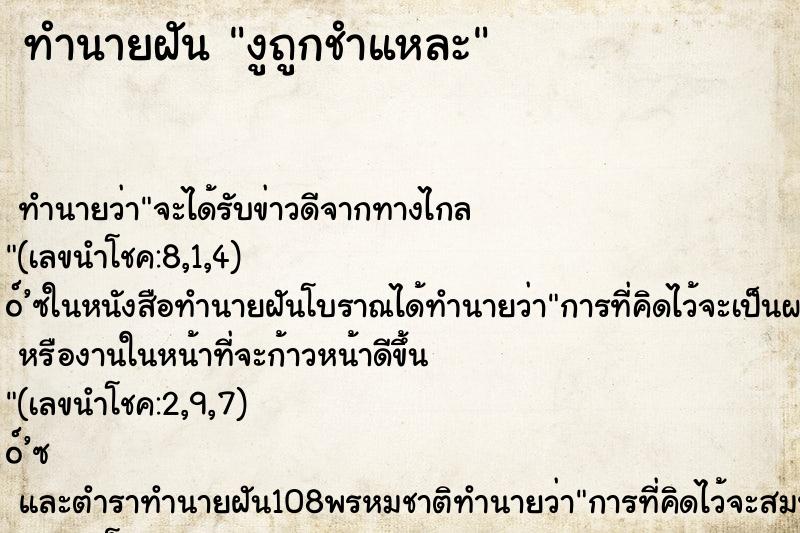 ทำนายฝันงูถูกชำแหละ ทำนายฝันทำนายฝันงูถูกชำแหละ