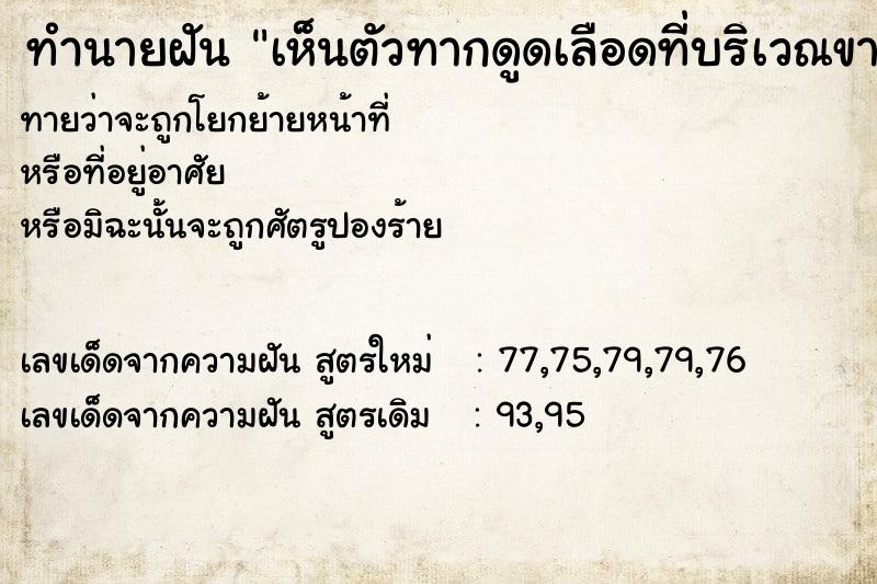 ทำนายฝันเห็นตัวทากดูดเลือดที่บริเวณขา ทำนายฝันทำนายฝันเห็นตัวทากดูดเลือดที่บริเวณขา