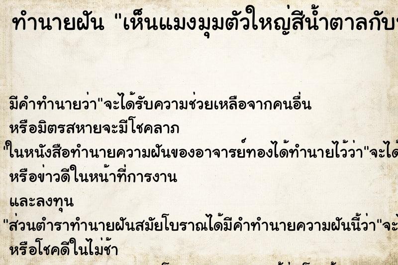 ทำนายฝันทำนายฝันเห็นแมงมุมตัวใหญ่สีน้ำตาลกับน้ำตาล