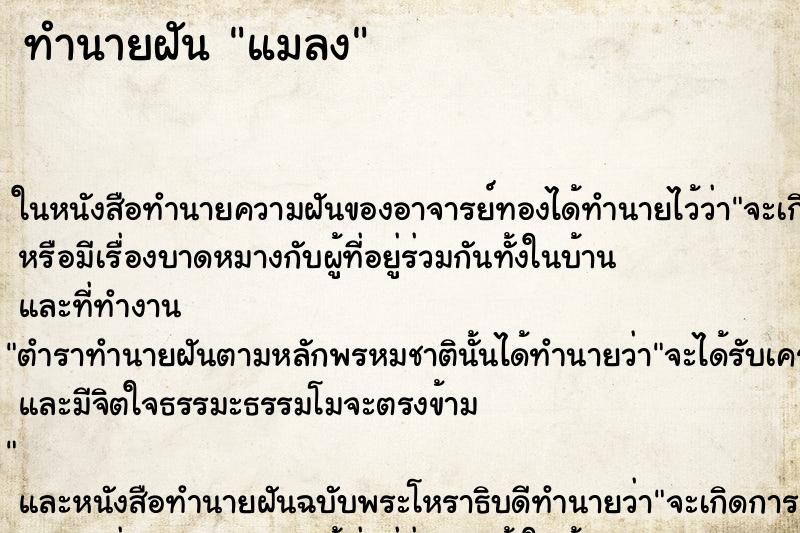 ทำนายฝัน แมลง ทำนายฝัน แมลง