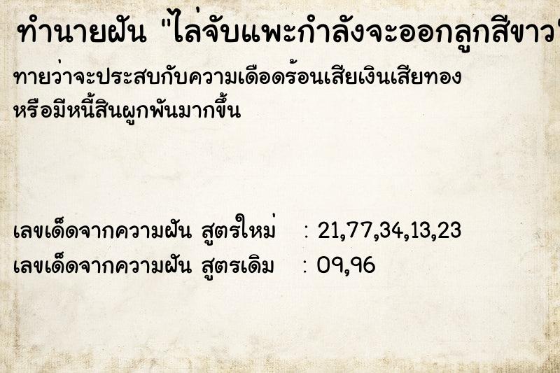 ทำนายฝัน ไล่จับแพะกำลังจะออกลูกสีขาว ทำนายฝัน ไล่จับแพะกำลังจะออกลูกสีขาว