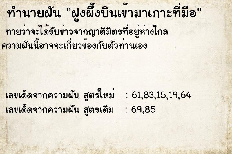 ทำนายฝันฝูงผึ้งบินเข้ามาเกาะที่มือ ทำนายฝันทำนายฝันฝูงผึ้งบินเข้ามาเกาะที่มือ