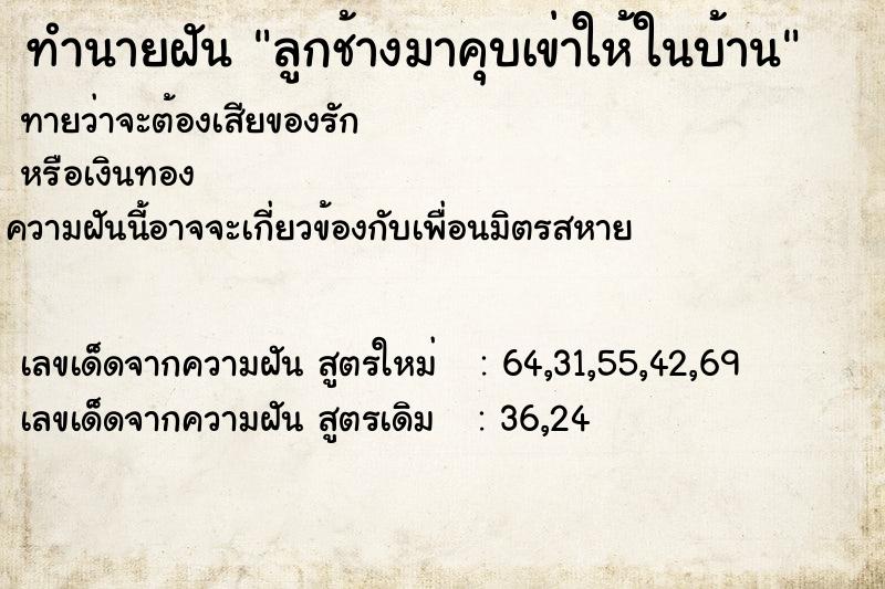 ทำนายฝันทำนายฝันลูกช้างมาคุบเข่าให้ในบ้าน