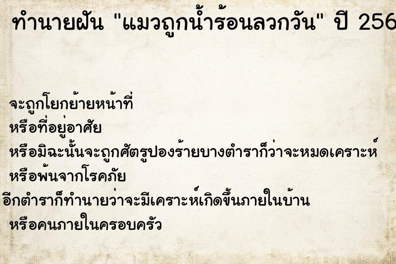 ทำนายฝันแมวถูกน้ำร้อนลวกวัน ทำนายฝันทำนายฝันแมวถูกน้ำร้อนลวกวัน