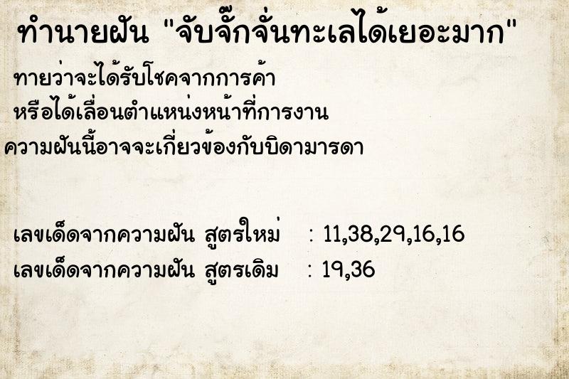 ทำนายฝันจับจั๊กจั่นทะเลได้เยอะมาก ทำนายฝันทำนายฝันจับจั๊กจั่นทะเลได้เยอะมาก