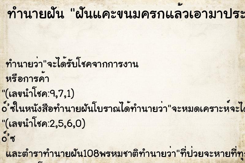 ทำนายฝันฝันแคะขนมครกแล้วเอามาประกบกัน ทำนายฝันทำนายฝันฝันแคะขนมครกแล้วเอามาประกบกัน