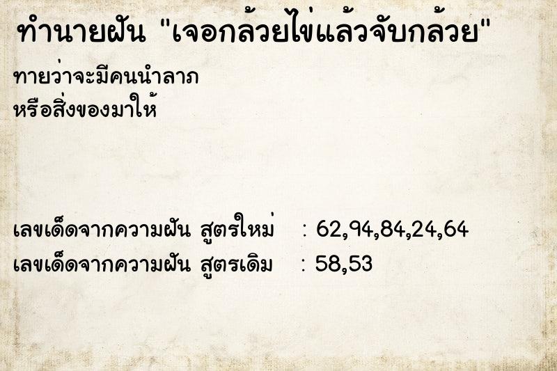 ทำนายฝันทำนายฝันเจอกล้วยไข่แล้วจับกล้วย