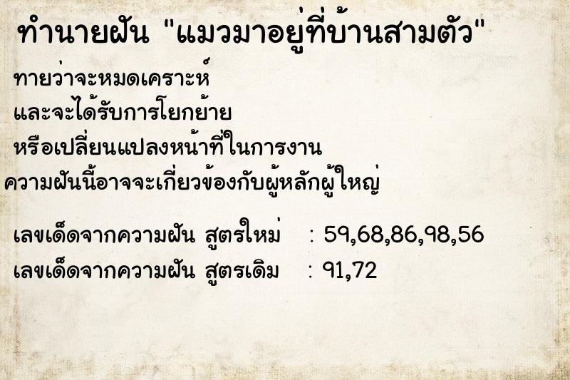 ทำนายฝันทำนายฝันแมวมาอยู่ที่บ้านสามตัว