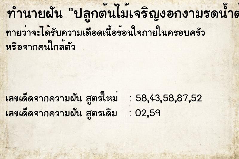 ทำนายฝันปลูกต้นไม้เจริญงอกงามรดน้ำต้นไม้ ทำนายฝันทำนายฝันปลูกต้นไม้เจริญงอกงามรดน้ำต้นไม้