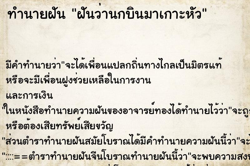 ทำนายฝันฝันว่านกบินมาเกาะหัว ทำนายฝันทำนายฝันฝันว่านกบินมาเกาะหัว