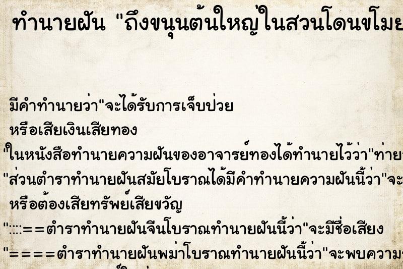 ทำนายฝันทำนายฝันถึงขนุนต้นใหญ่ในสวนโดนขโมยลูกไป
