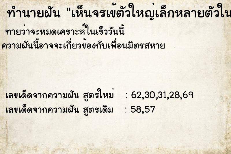 ทำนายฝันทำนายฝันเห็นจรเข้ตัวใหญ่เล็กหลายตัวในน้ำ