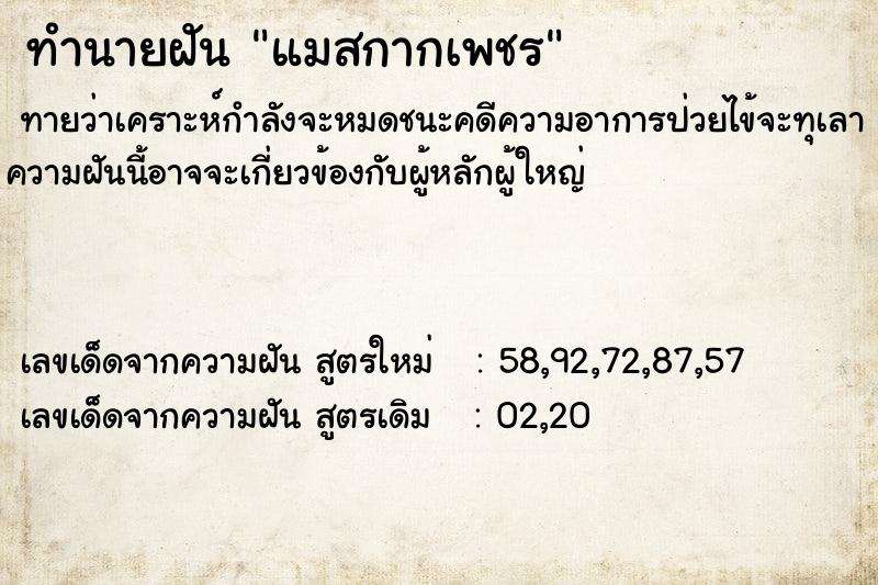 ทำนายฝันแมสกากเพชร ทำนายฝันทำนายฝันแมสกากเพชร