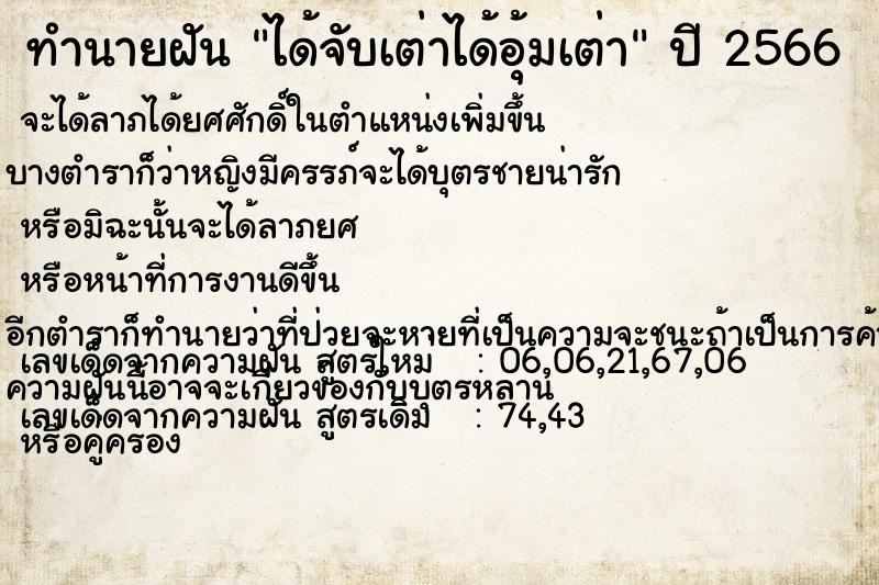 ทำนายฝันทำนายฝันได้จับเต่าได้อุ้มเต่า