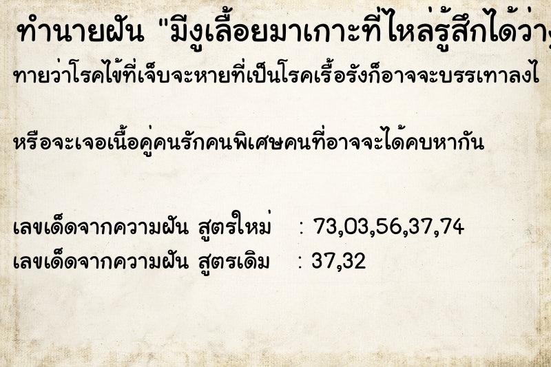 ทำนายฝัน มีงูเลื้อยมาเกาะที่ไหล่รู้สึกได้ว่างูตัวนิ่มมาก