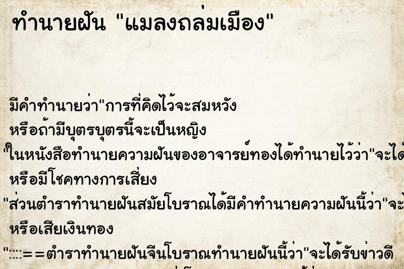 ทำนายฝันแมลงถล่มเมือง ทำนายฝันทำนายฝันแมลงถล่มเมือง
