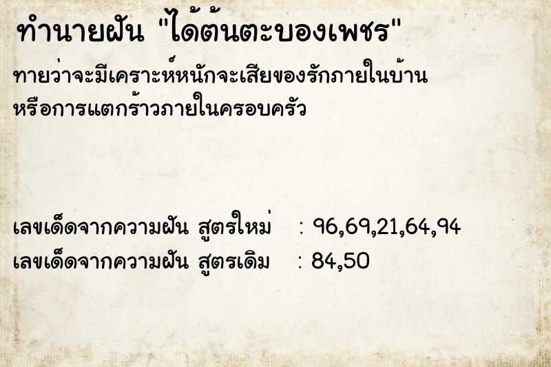 ทำนายฝันได้ต้นตะบองเพชร ทำนายฝันทำนายฝันได้ต้นตะบองเพชร