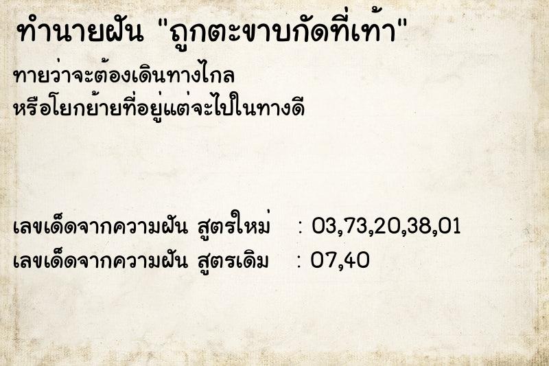 ทำนายฝันถูกตะขาบกัดที่เท้า ทำนายฝันทำนายฝันถูกตะขาบกัดที่เท้า