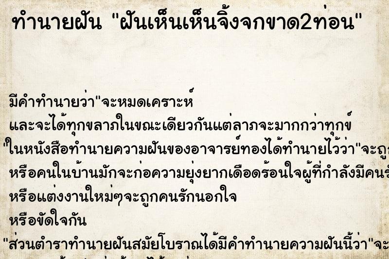 ทำนายฝันทำนายฝันฝันเห็นเห็นจิ้งจกขาด2ท่อน
