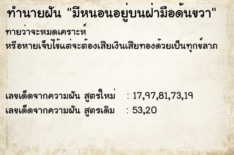 ทำนายฝันมีหนอนอยู่บนฝ่ามือด้นขวา ทำนายฝันทำนายฝันมีหนอนอยู่บนฝ่ามือด้นขวา