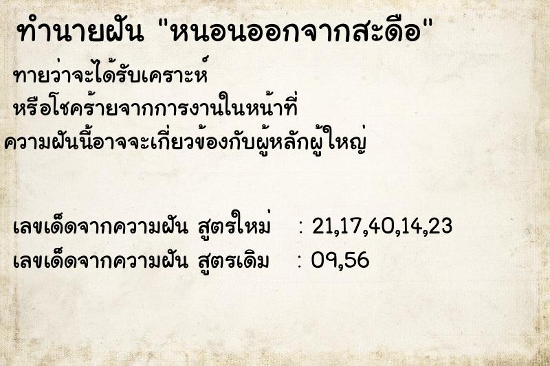 ทำนายฝันหนอนออกจากสะดือ ทำนายฝันทำนายฝันหนอนออกจากสะดือ