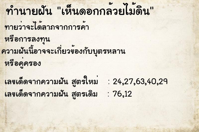 ทำนายฝัน เห็นดอกกล้วยไม้ดิน ทำนายฝัน เห็นดอกกล้วยไม้ดิน