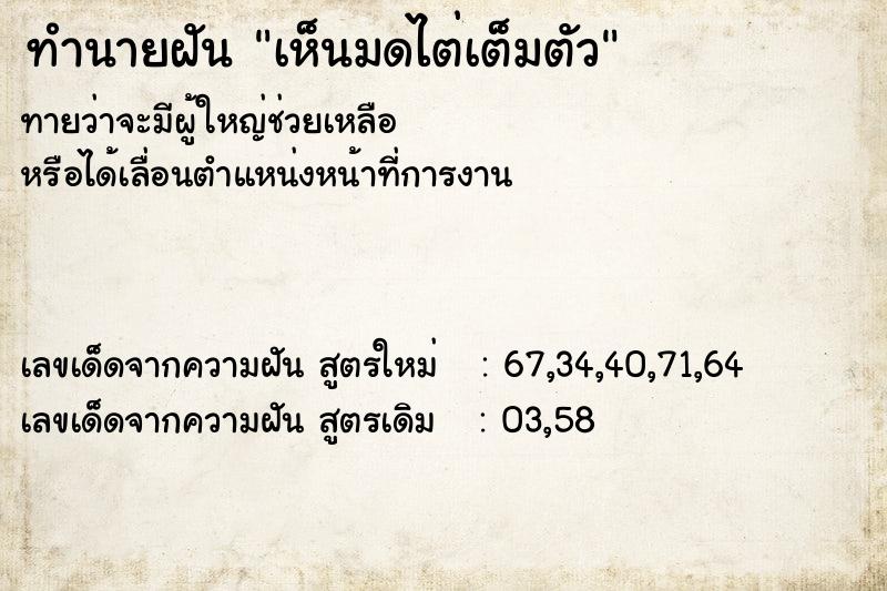 ทำนายฝัน เห็นมดไต่เต็มตัว ทำนายฝัน เห็นมดไต่เต็มตัว