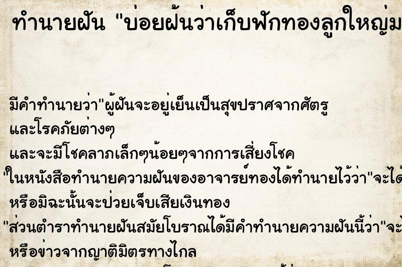 ทำนายฝันบ่อยฝ้นว่าเก็บฟักทองลูกใหญ่มากแต่เป็นสีทอง ทำนายฝันทำนายฝันบ่อยฝ้นว่าเก็บฟักทองลูกใหญ่มากแต่เป็นสีทอง