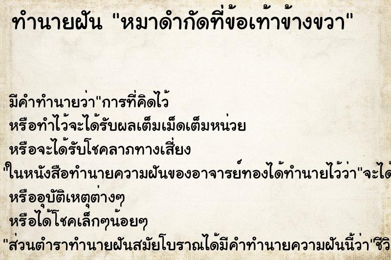 ทำนายฝัน หมาดำกัดที่ข้อเท้าข้างขวา ทำนายฝัน หมาดำกัดที่ข้อเท้าข้างขวา