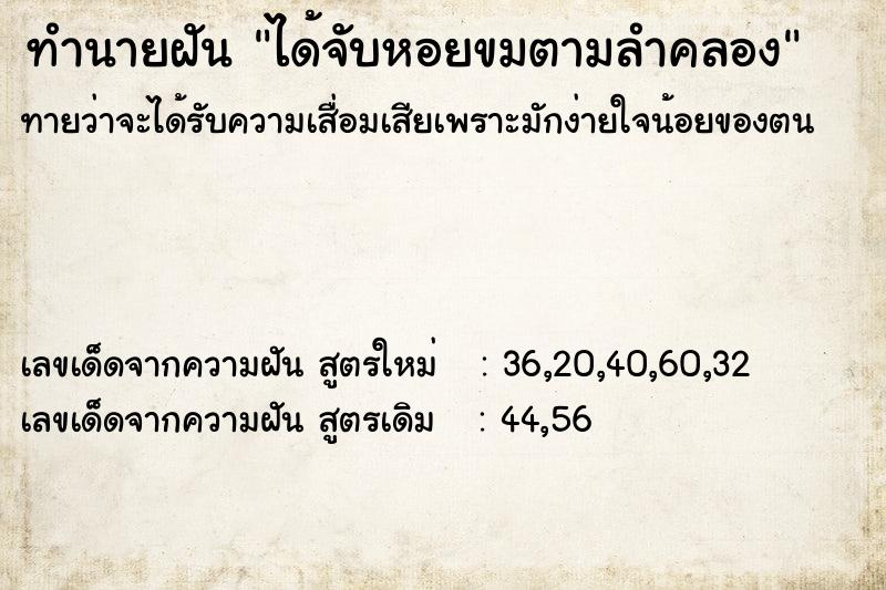 ทำนายฝันทำนายฝันได้จับหอยขมตามลำคลอง