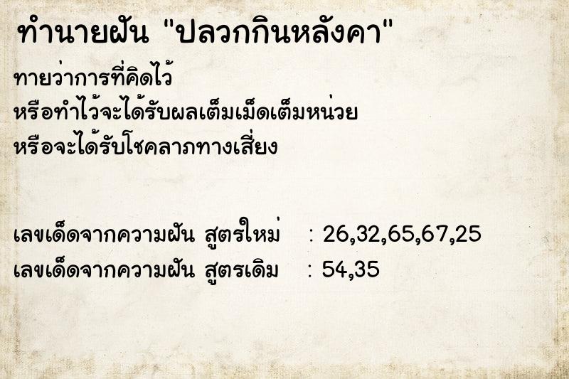 ทำนายฝันปลวกกินหลังคา ทำนายฝันทำนายฝันปลวกกินหลังคา