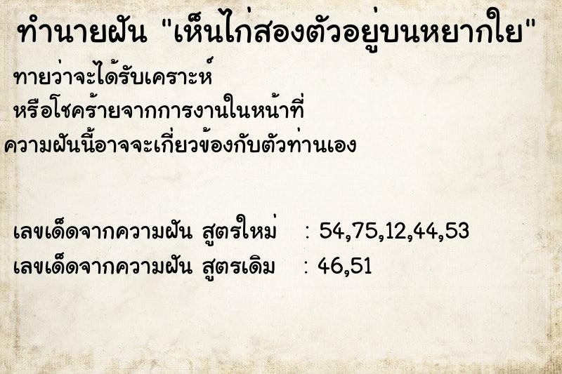 ทำนายฝันทำนายฝันเห็นไก่สองตัวอยู่บนหยากใย