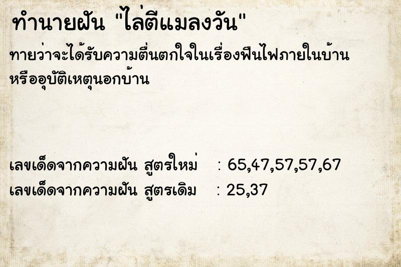 ทำนายฝัน ไล่ตีแมลงวัน ทำนายฝัน ไล่ตีแมลงวัน