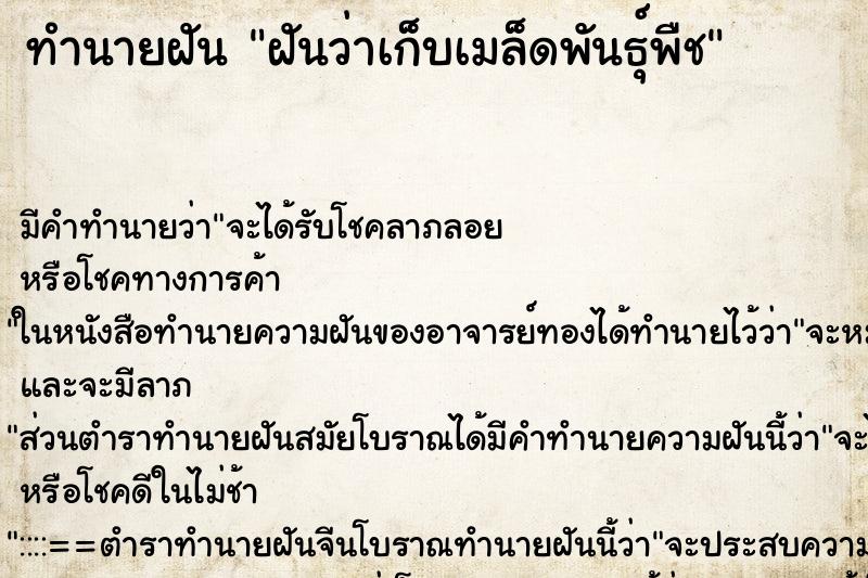 ทำนายฝัน ฝันว่าเก็บเมล็ดพันธุ์พืช ทำนายฝัน ฝันว่าเก็บเมล็ดพันธุ์พืช