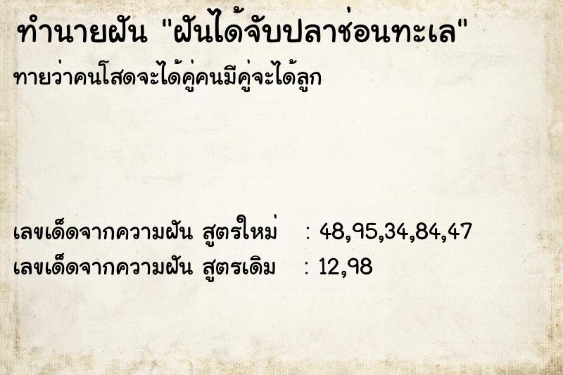 ทำนายฝันฝันได้จับปลาช่อนทะเล ทำนายฝันทำนายฝันฝันได้จับปลาช่อนทะเล