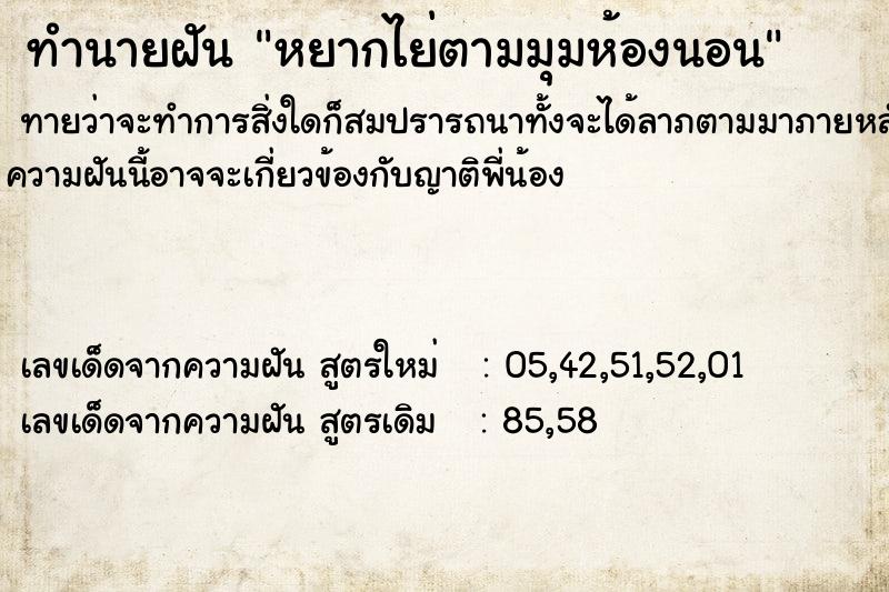 ทำนายฝันหยากไย่ตามมุมห้องนอน ทำนายฝันทำนายฝันหยากไย่ตามมุมห้องนอน